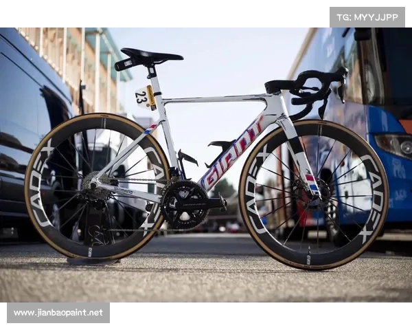 自行车赛事榜单排名